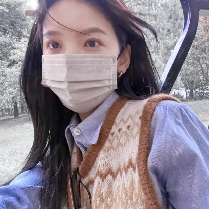 女子十二不设防在线观看海报